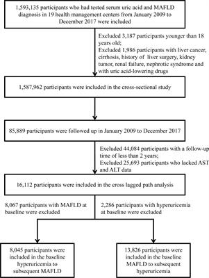 A Bidirectional Relationship Between Hyperuricemia and Metabolic Dysfunction-Associated Fatty Liver Disease